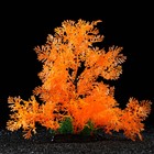 Растение искусственное аквариумное, 28 см, оранжевое - фото 9784731