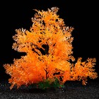 Растение искусственное аквариумное, 28 см, оранжевое 7524008 - фото 16183140