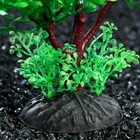 Растение искусственное аквариумное, 15 см, зелёное - фото 24398024