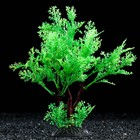 Растение искусственное аквариумное, 15 см, зелёное - фото 283583885