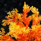 Растение искусственное аквариумное, 15 см, оранжевое - Фото 3
