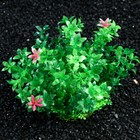 Растение искусственное аквариумное, 15 см, зелёное 7524021