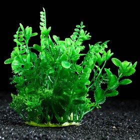 Растение искусственное аквариумное, 15 см, зелёное (комплект 3 шт)