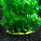 Растение искусственное аквариумное, 15 см, зелёное (комплект 3 шт) - фото 42873684