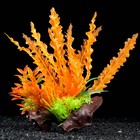 Растение искусственное аквариумное на платформе в виде коряги, 18 см, оранжево-зелёное - фото 9784777