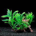 Растение искусственное аквариумное на платформе в виде коряги, 18 см, зелёное - Фото 1