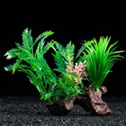 Растение искусственное аквариумное на платформе в виде коряги, 18 см, зелёное - Фото 2