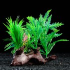 Растение искусственное аквариумное на платформе в виде коряги, 18 см, зелёное - Фото 3