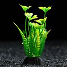 Растение искусственное аквариумное, 3 х 9 см, оранжево-зелёное - фото 292398708