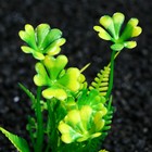 Растение искусственное аквариумное, 3 х 9 см, оранжево-зелёное - Фото 2