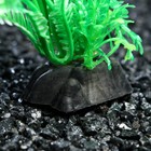 Растение искусственное аквариумное, 3 х 9 см, зелёное - Фото 3