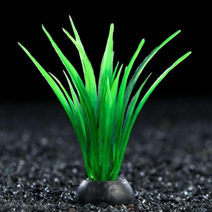 Растение искусственное аквариумное, 5 см, зелёное - Фото 1