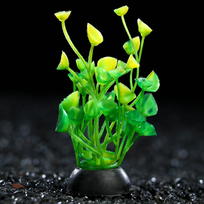 Растение искусственное аквариумное, 5 см, зелёное - Фото 1