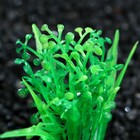 Растение искусственное аквариумное, 5 см, зелёное - Фото 2