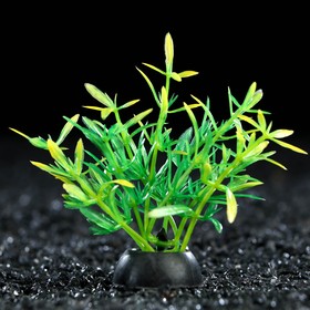 Растение искусственное аквариумное, 2,5 х 5 см, зелёное