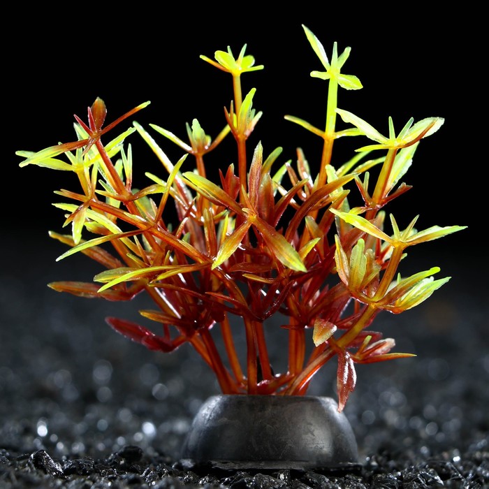 Растение искусственное аквариумное, 2,5 х 5 см, красно-зелёное - Фото 1