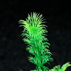 Растение искусственное аквариумное, 4 х 30 см, зелёное - Фото 2
