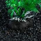 Растение искусственное аквариумное, 4 х 30 см, зелёное - Фото 3