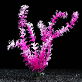 Растение искусственное аквариумное, 4 х 30 см, фиолетовое
