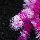 Растение искусственное аквариумное, 4 х 30 см, фиолетовое - Фото 2
