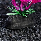 Растение искусственное аквариумное, 4 х 30 см, фиолетовое - Фото 3