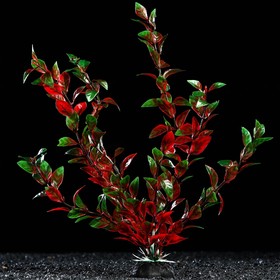 Растение искусственное аквариумное, 4 х 30 см, красно-зелёное