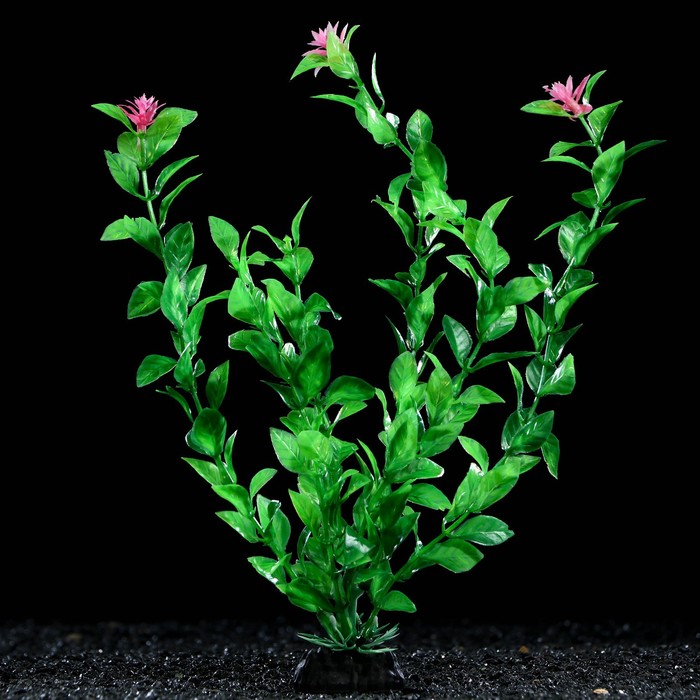 Растение искусственное аквариумное, 4 х 30 см, зелёное - Фото 1