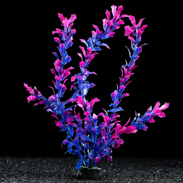 Растение искусственное аквариумное, 4 х 30 см, сине-фиолетовое - Фото 1