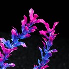 Растение искусственное аквариумное, 4 х 30 см, сине-фиолетовое - Фото 2