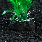 Растение искусственное аквариумное, 4 х 30 см, зелёное 7524047