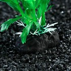 Растение искусственное аквариумное, 4 х 30 см, зелёное (комплект 5 шт) - фото 37439692