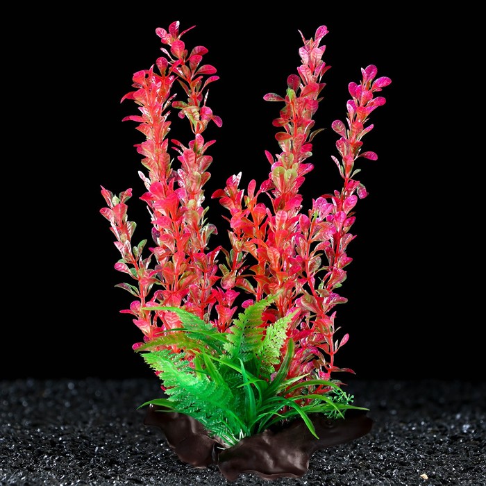 Растение искусственное аквариумное на платформе в виде коряги, 30 см, розово-зелёное - Фото 1
