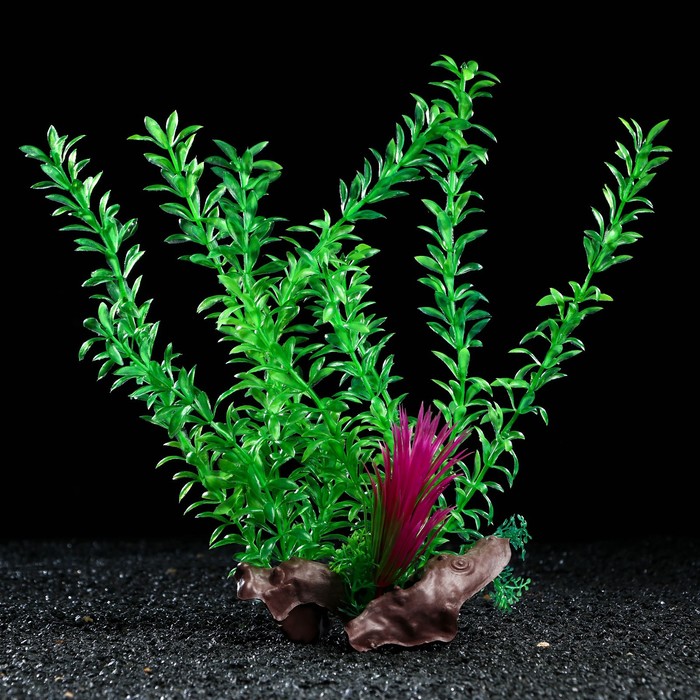 Растение искусственное аквариумное на платформе в виде коряги, 30 см, зелёное - Фото 1