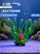 Растение искусственное для аквариума, 30 см, на платформе в виде коряги, 30 см, зелёное - Фото 1