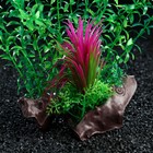 Растение искусственное аквариумное на платформе в виде коряги, 30 см, зелёное - фото 6618761
