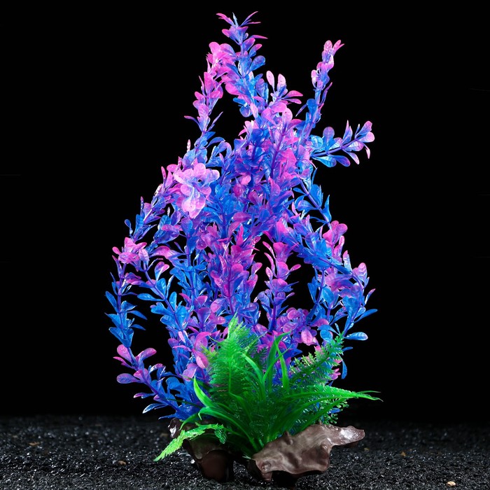 Растение искусственное аквариумное на платформе в виде коряги, 40 см, сине-розовое