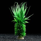 Растение искусственное аквариумное, 30 см - Фото 1