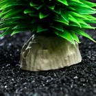 Растение искусственное аквариумное, 30 см - Фото 3