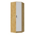 Шкаф угловой «ЭКО», 760×481×2200 мм, цвет дуб вотан, белый - Фото 1