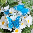 Бабочки для декора и флористики, на прищепке, пластиковые, синие, микс, 5 см и 8 см - фото 9785299