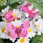 Бабочки для декора и флористики, на прищепке, пластиковые, микс, 5 см и 8 см - Фото 1