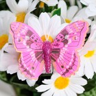 Бабочки для декора и флористики, на прищепке, пластиковые, микс, 5 см и 8 см - Фото 2