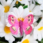 Бабочки для декора и флористики, на прищепке, пластиковые, микс, 5 см и 8 см - Фото 3