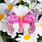 Бабочки для декора и флористики, на прищепке, пластиковые, микс, 5 см и 8 см - Фото 4