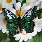 Бабочки для декора и флористики, на прищепке, пластиковые, черные, микс, 5 см и 8 см - Фото 2