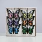 Бабочки для декора и флористики, на прищепке, пластиковые, черные, микс, 5 см и 8 см - Фото 4