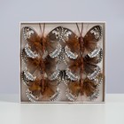 Бабочки для декора и флористики, на прищепке, пластиковые, коричневые, микс, 5 см и 8 см - Фото 4