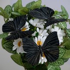 Бабочка для декора и флористики, на прищепке, пластиковая, черная, 1 шт., 12 см - фото 9785359