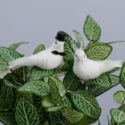 Набор птичек для декора и флористики, на прищепке, пластиковая, белый, 2 шт., 13 х 3 х 3 см - фото 2264593