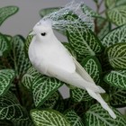Набор птичек для декора и флористики, на прищепке, пластиковая, белый, 2 шт., 13 х 3 х 3 см - фото 6618857